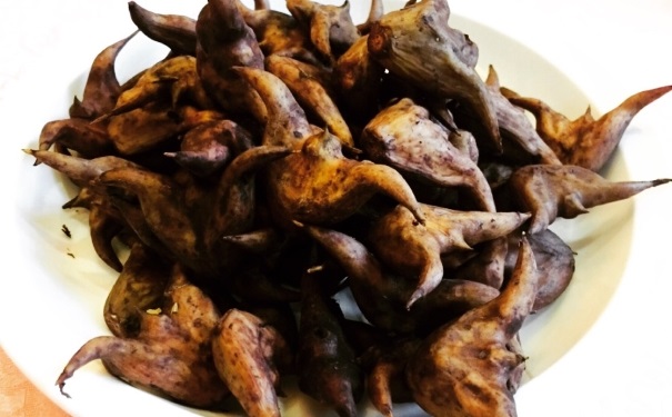 ��ǳ�����ʲôʱ�� ʲôʱ��������ó�